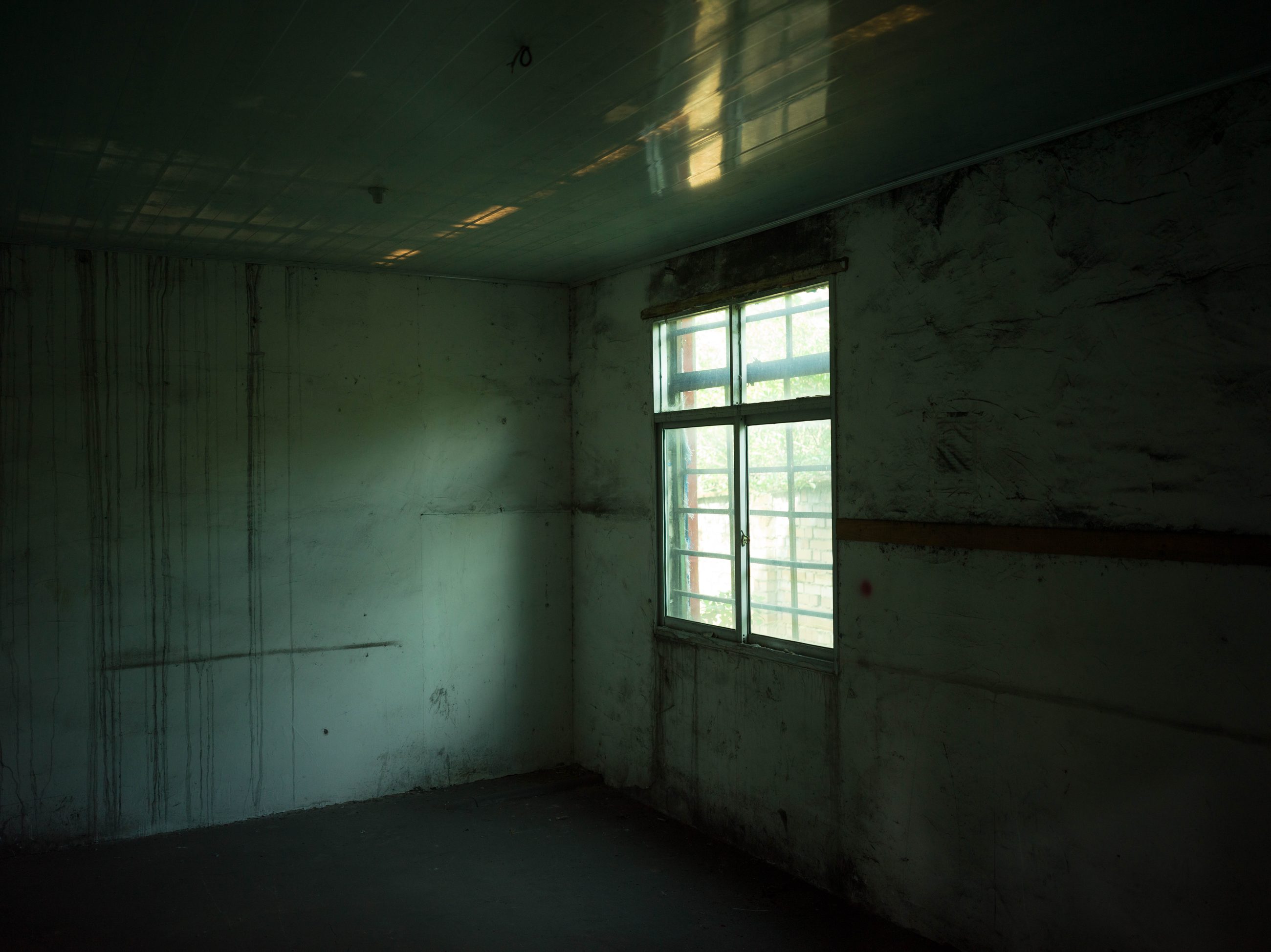 Photograph 2 by Yizhou Wang