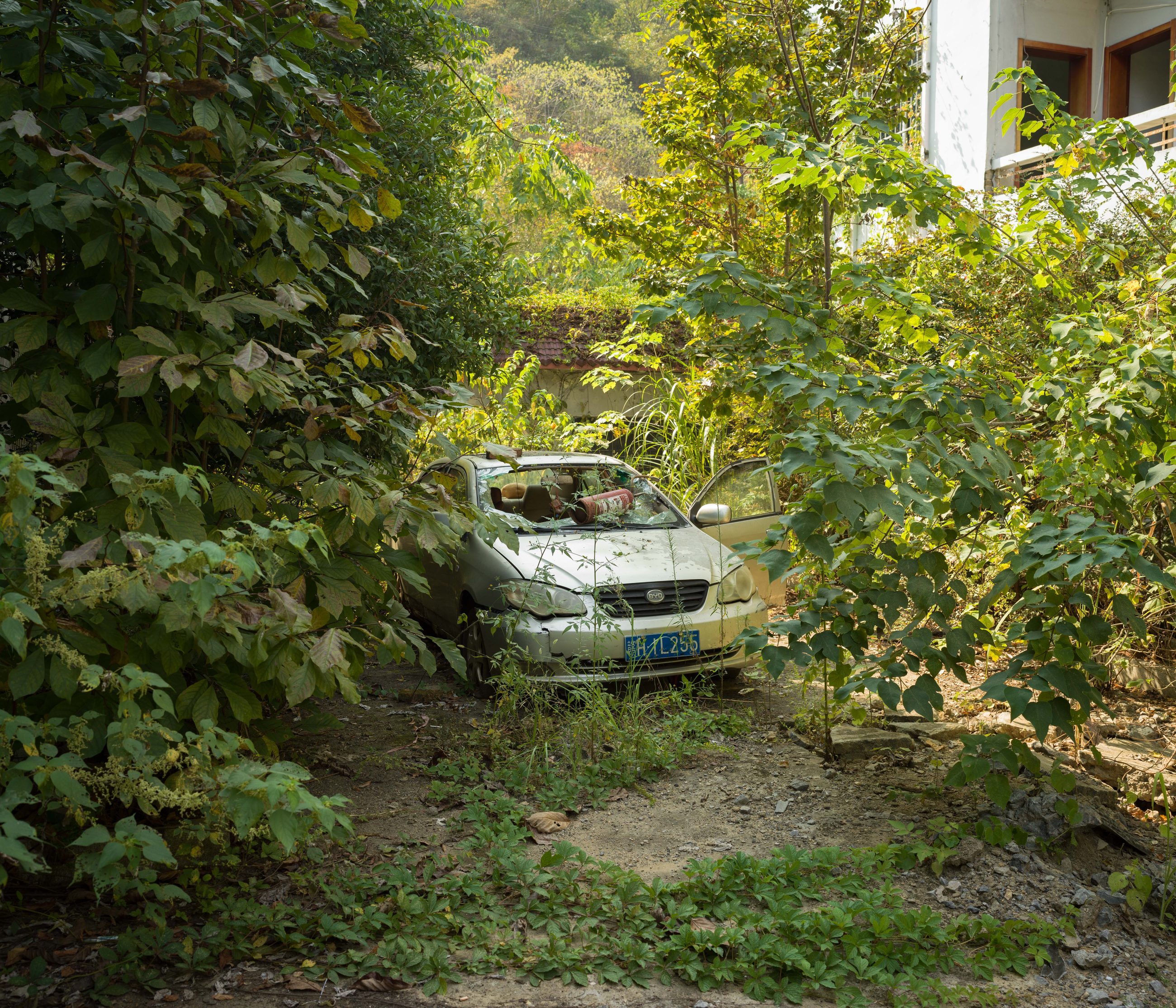Photograph 12 by Yizhou Wang