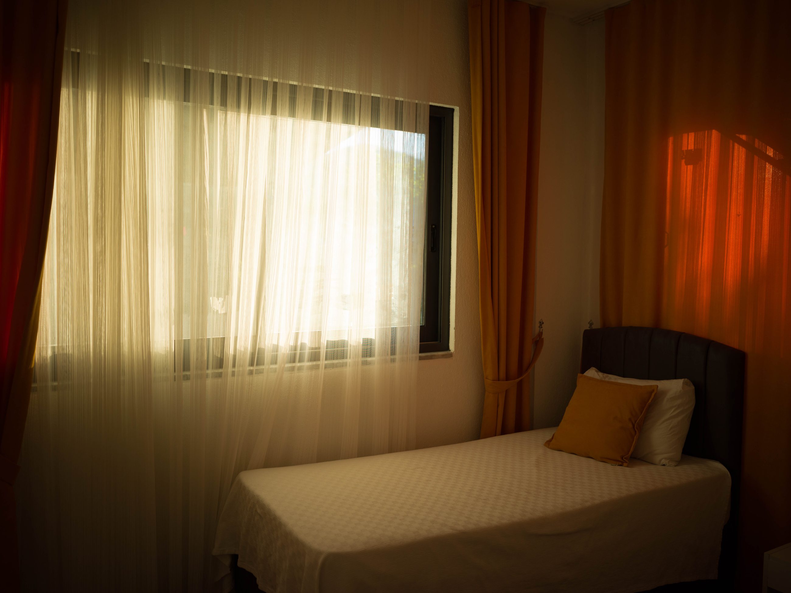 Photograph 5 by Yizhou Wang