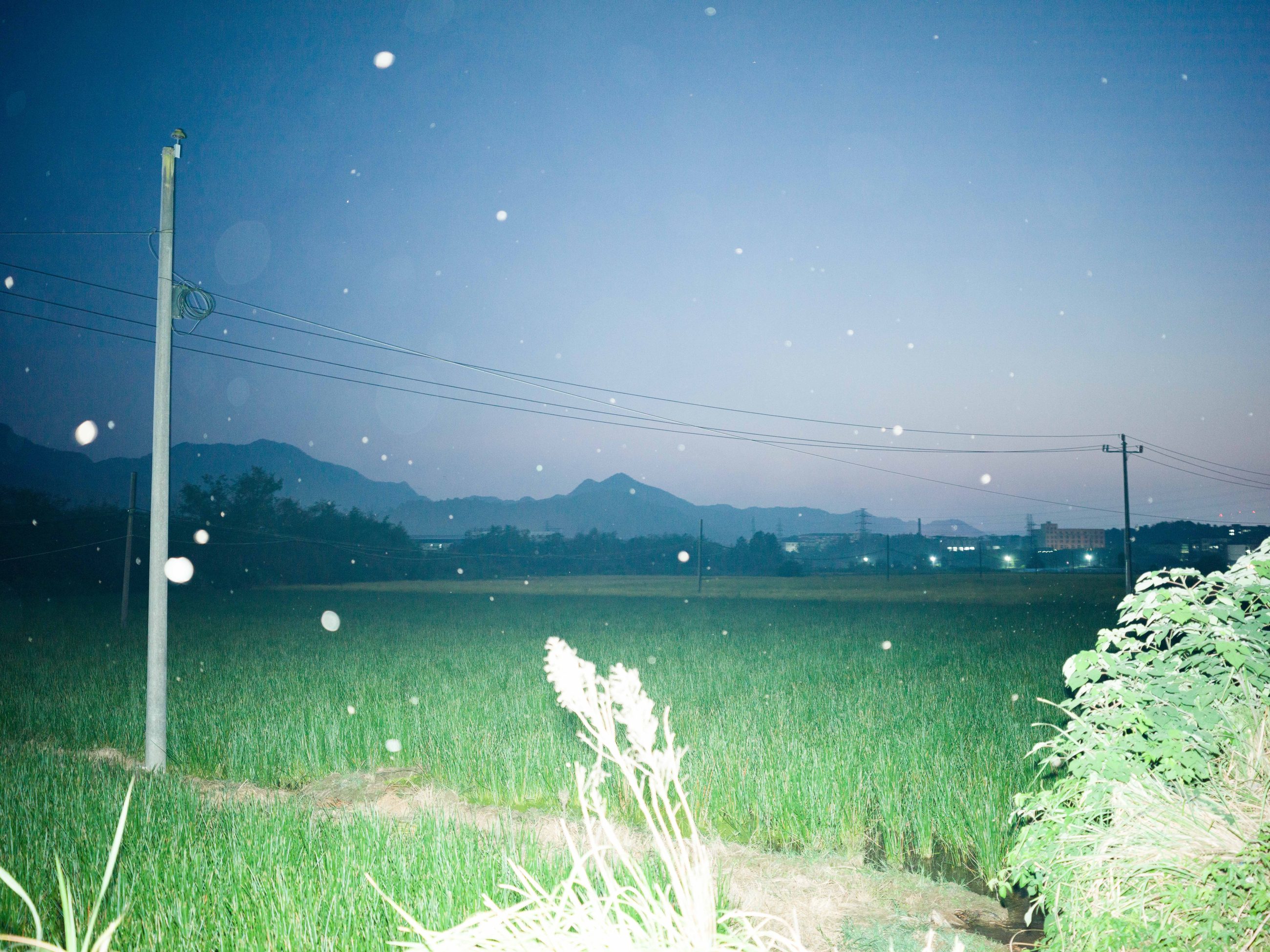 Photograph 11 by Yizhou Wang