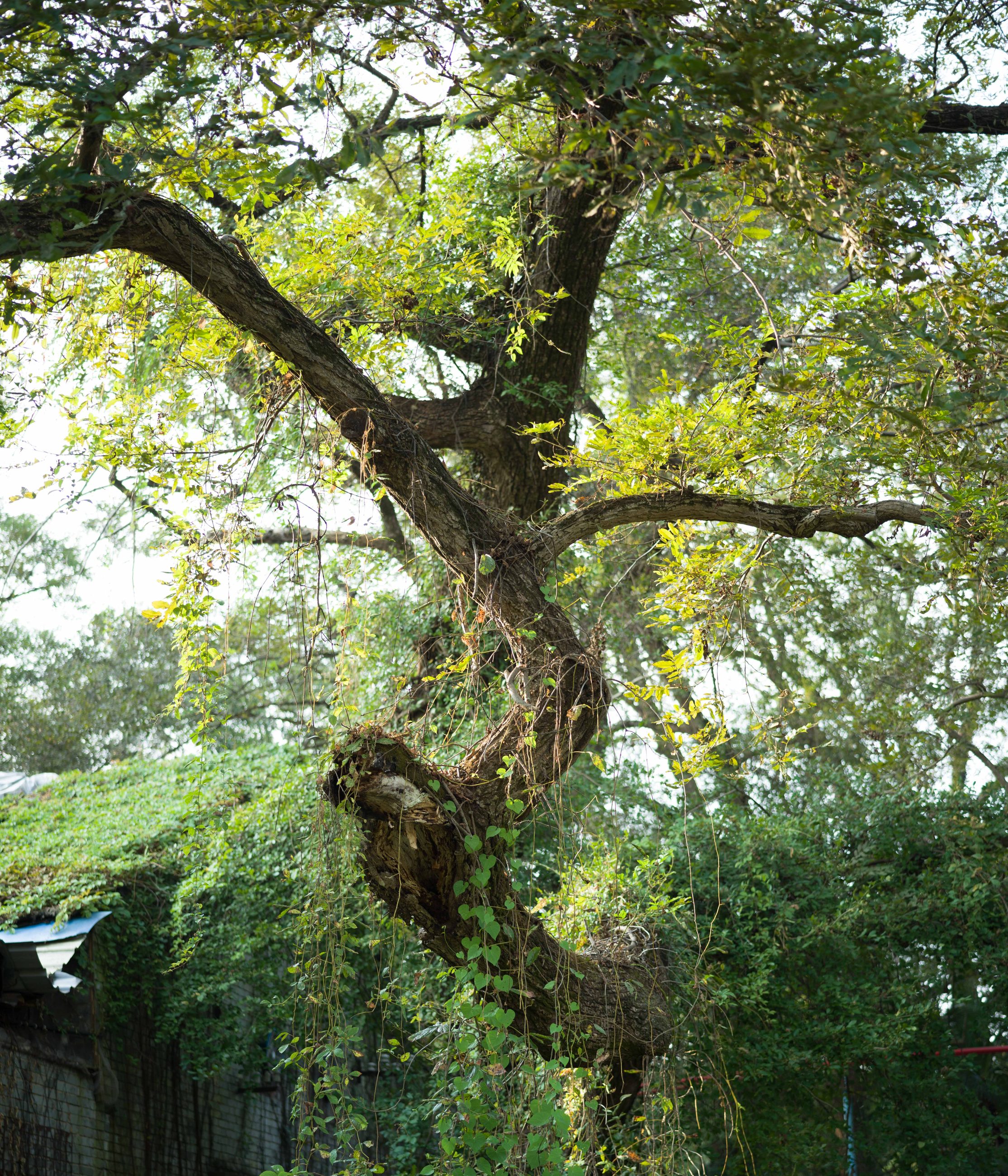 Photograph 13 by Yizhou Wang