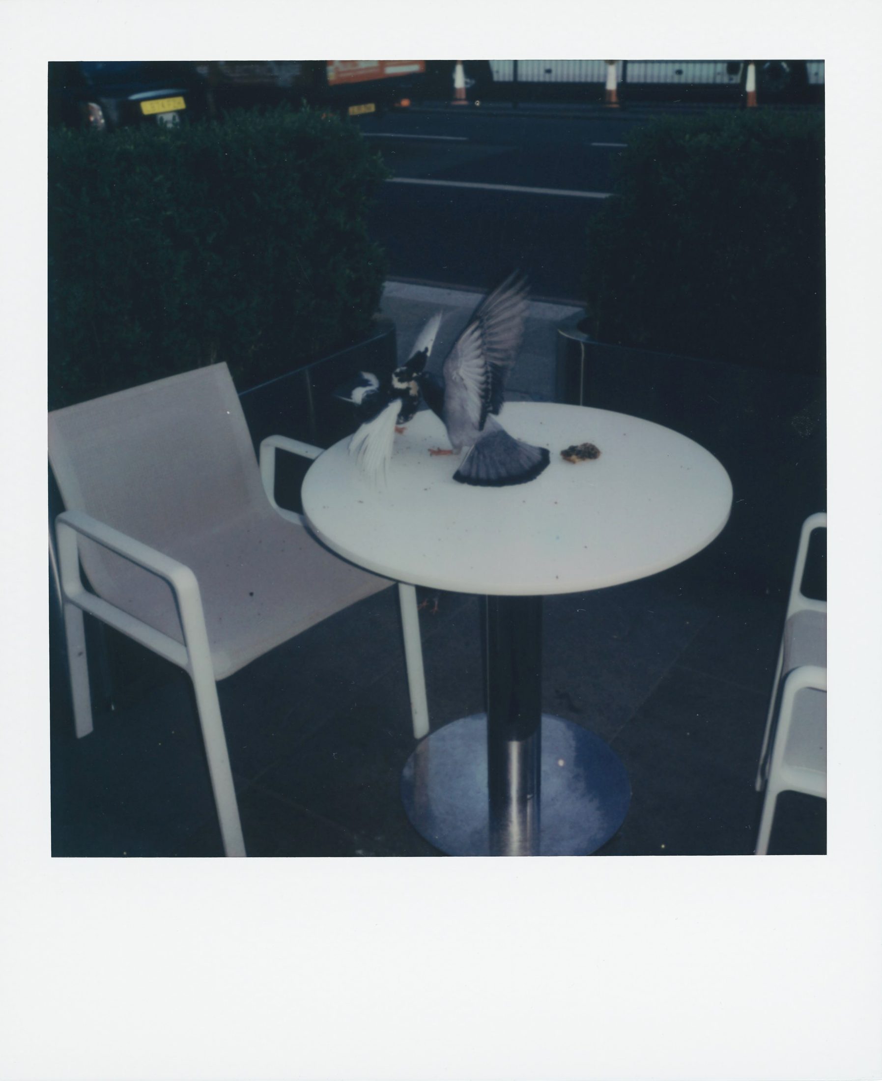 Polaroid photograph 21