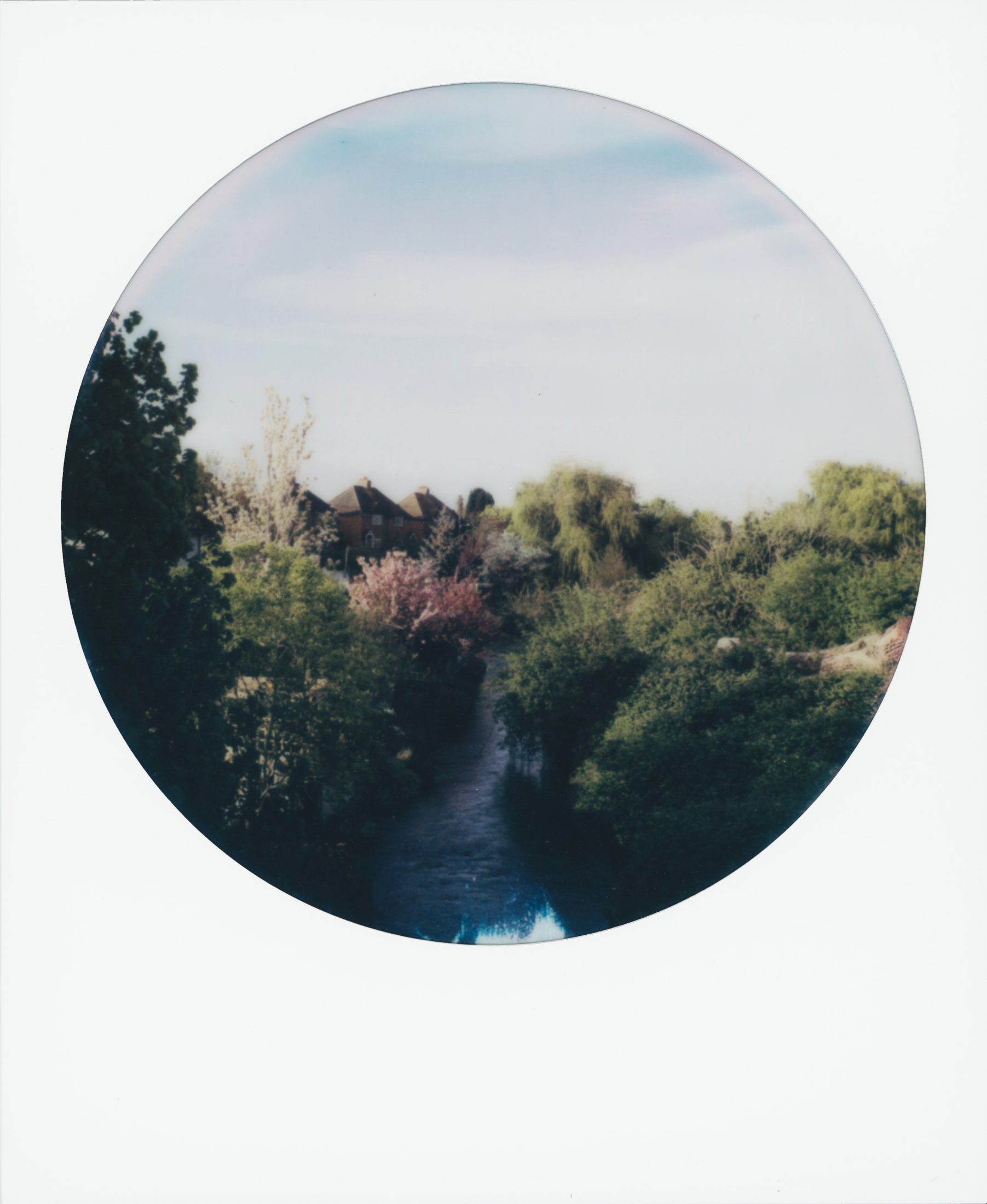 Polaroid photograph 34