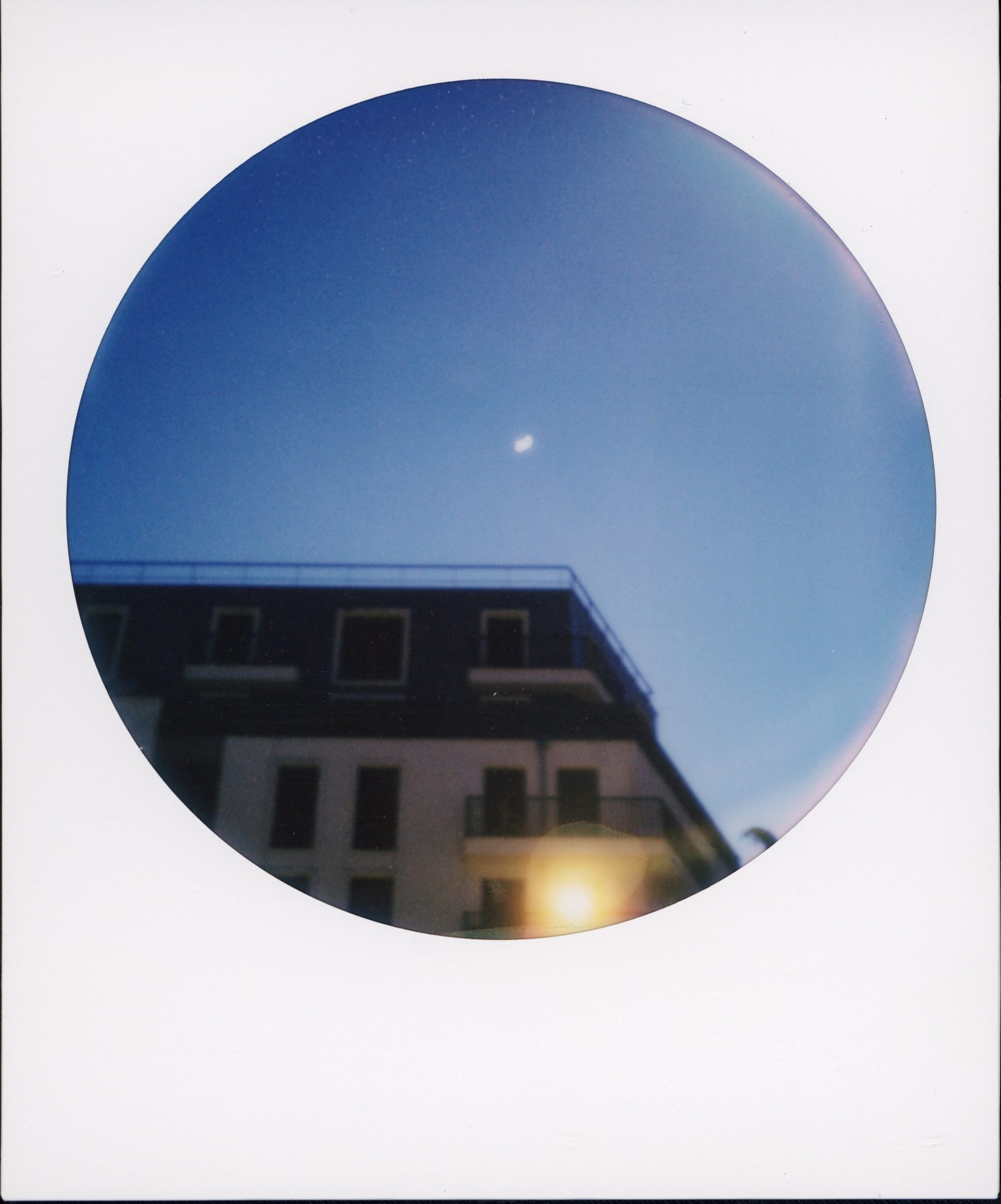Polaroid photograph 55
