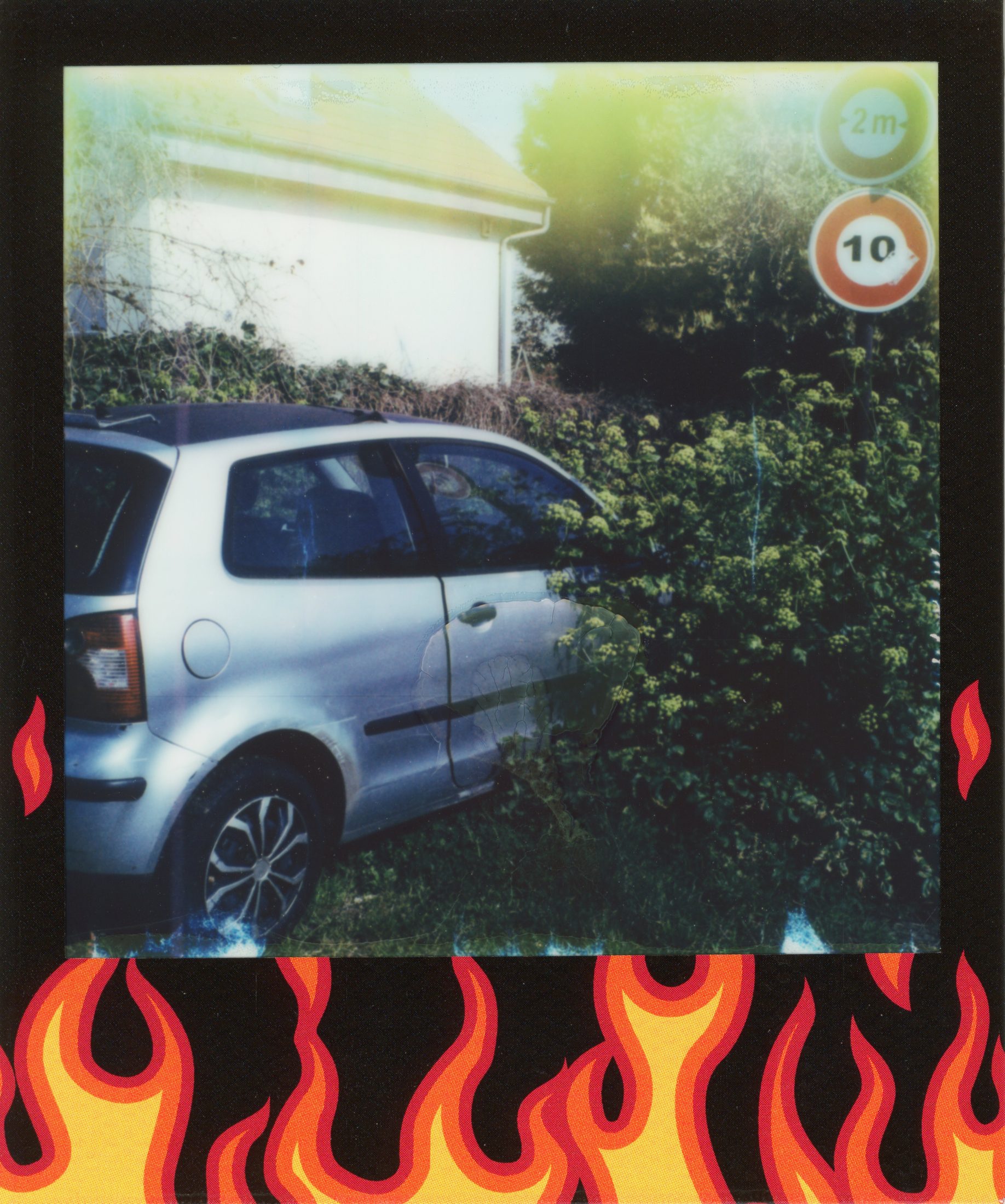 Polaroid photograph 59
