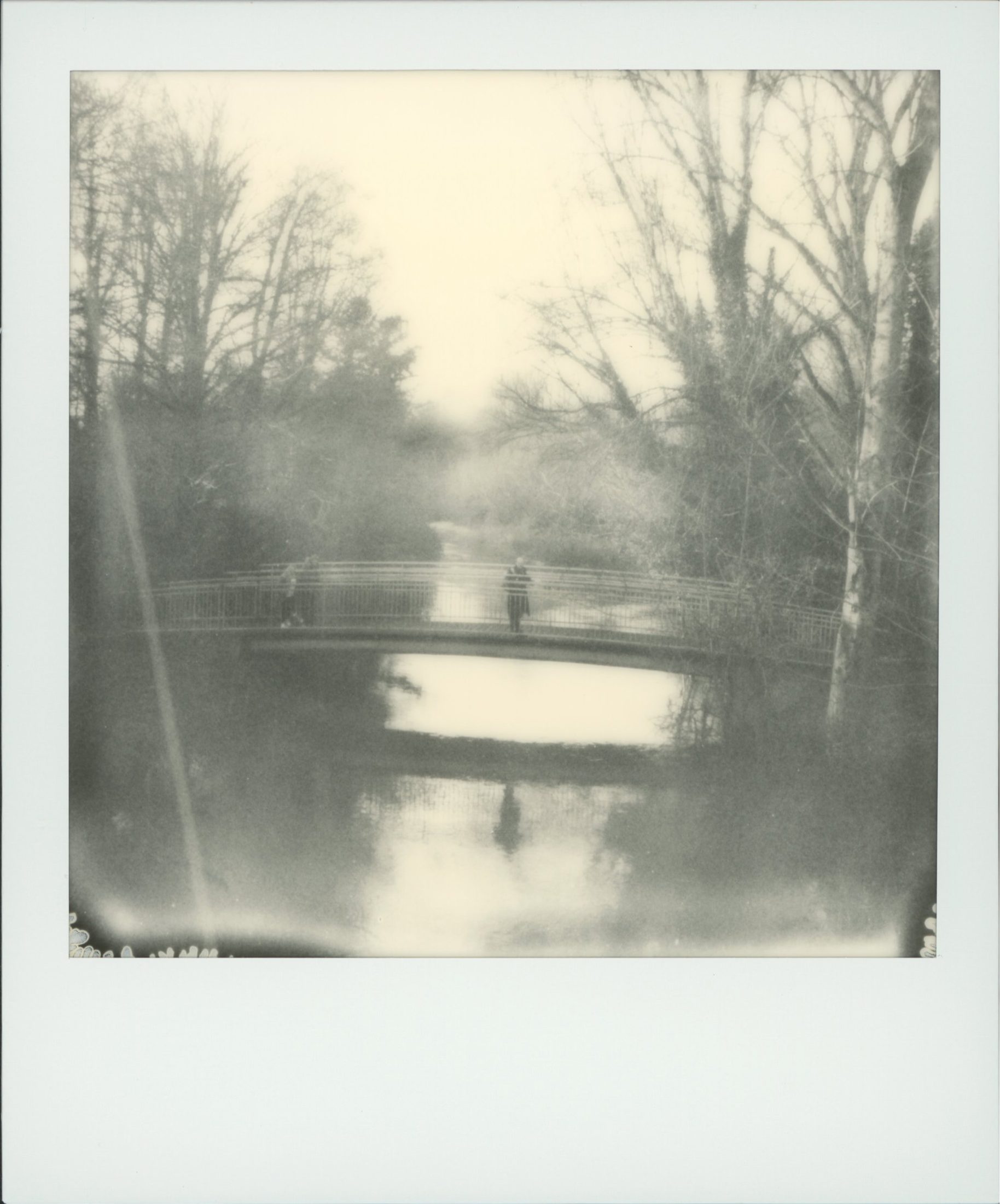 Polaroid photograph 82