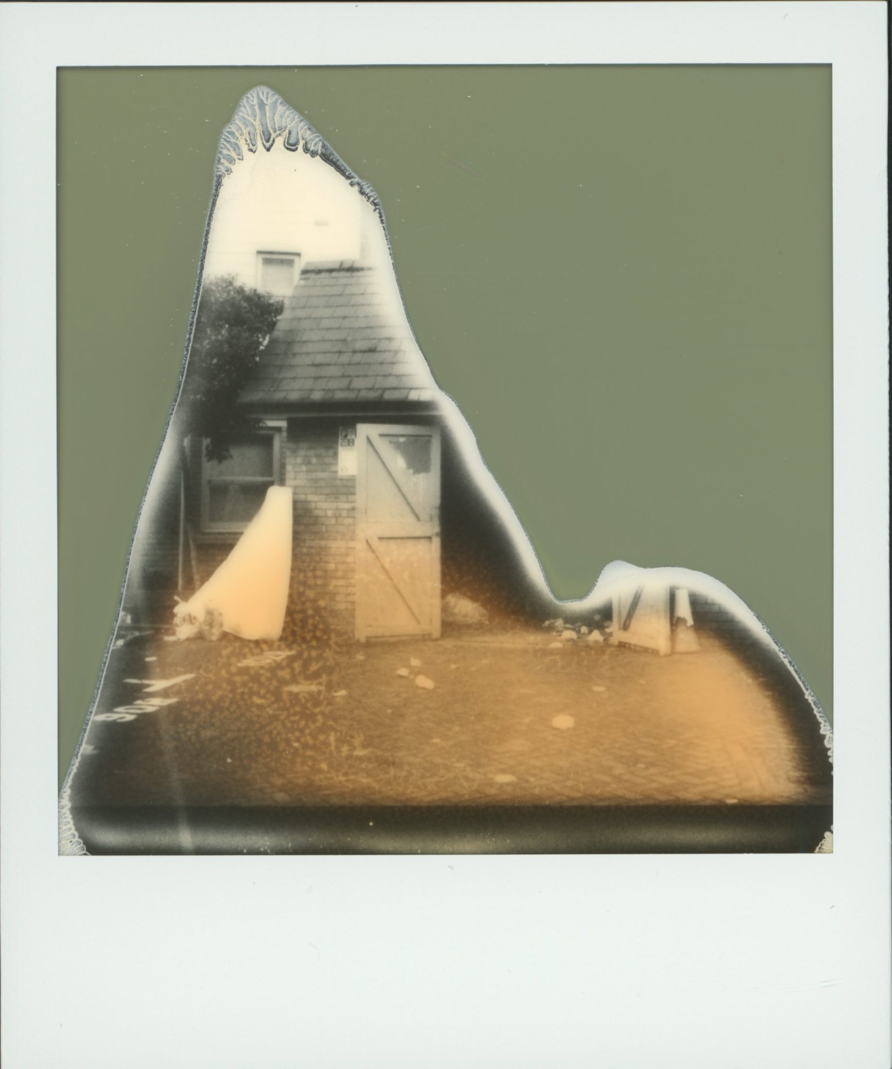 Polaroid photograph 87