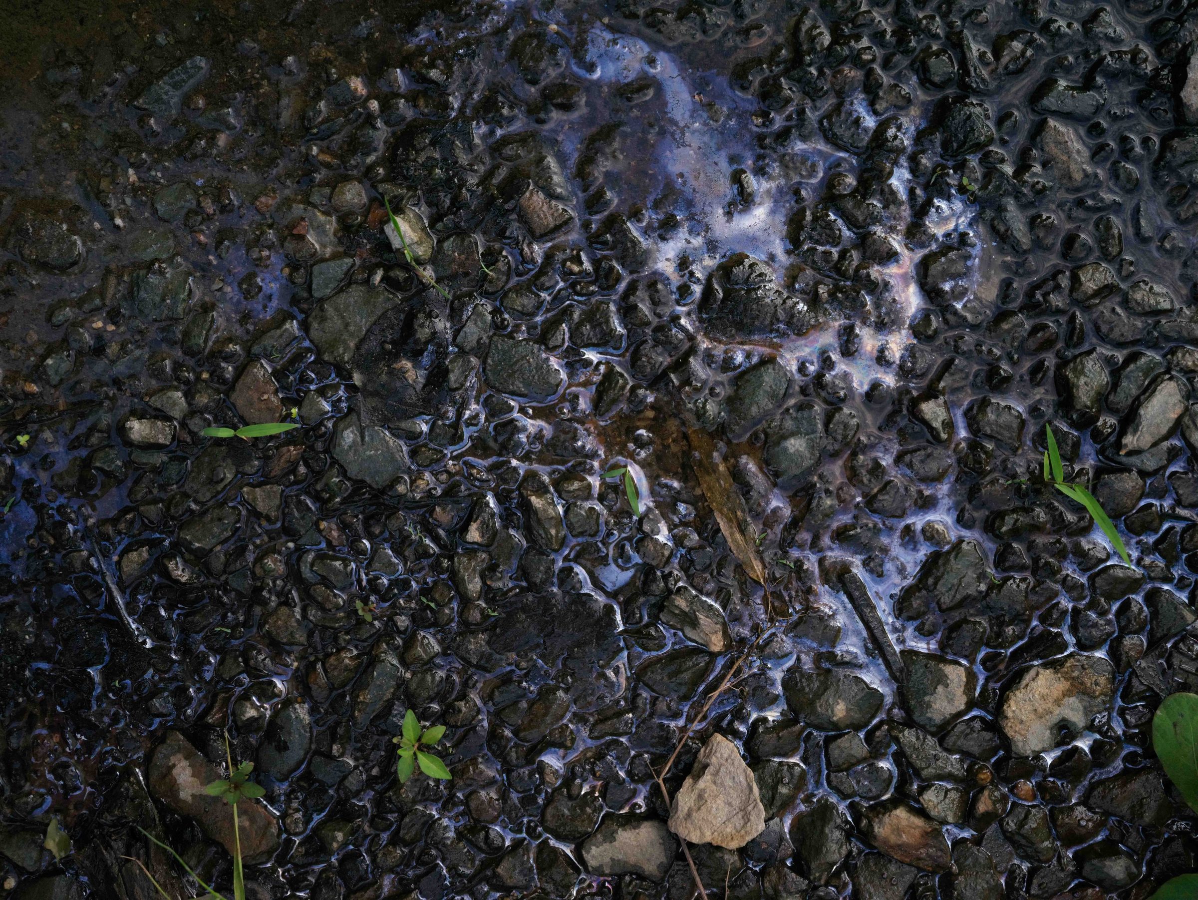 After Order, photograph 8