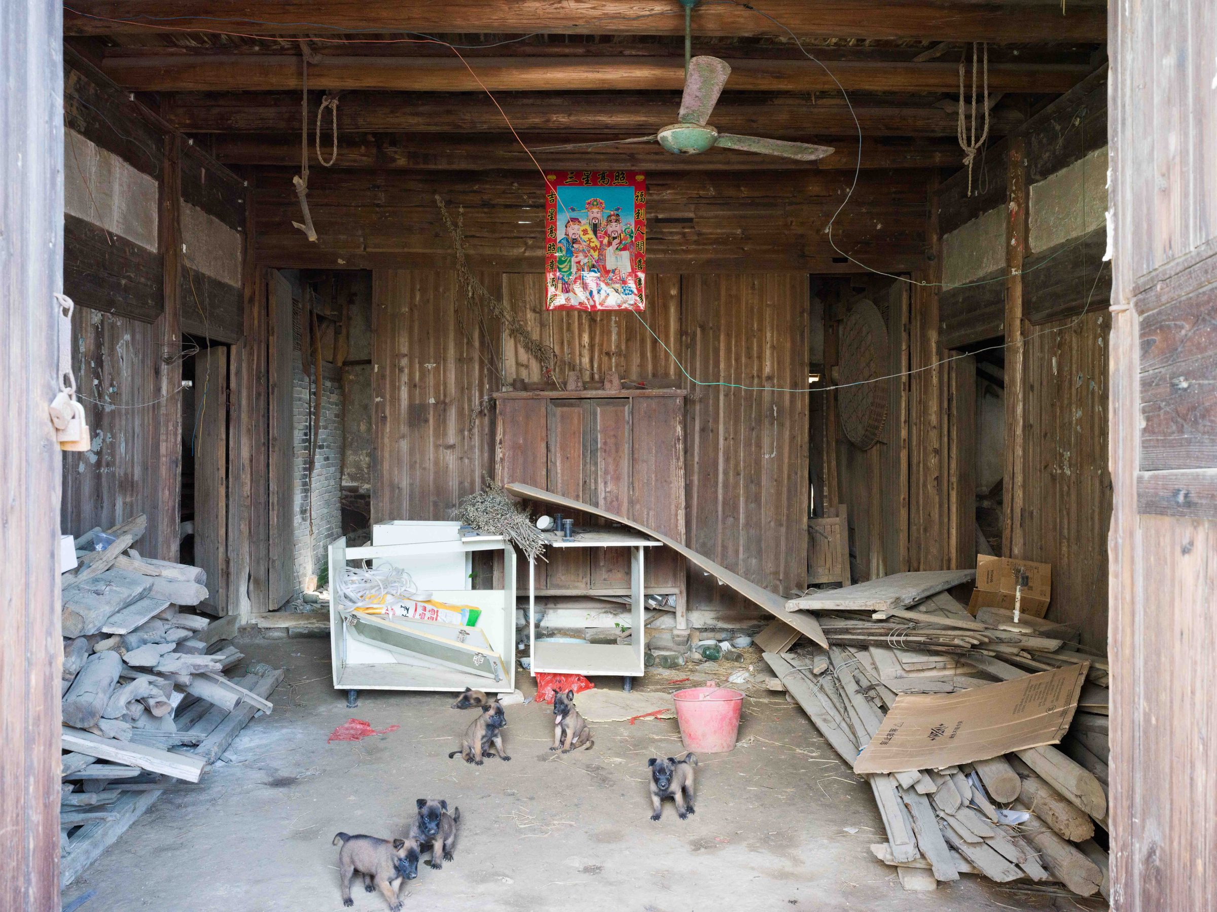 After Order, photograph 20