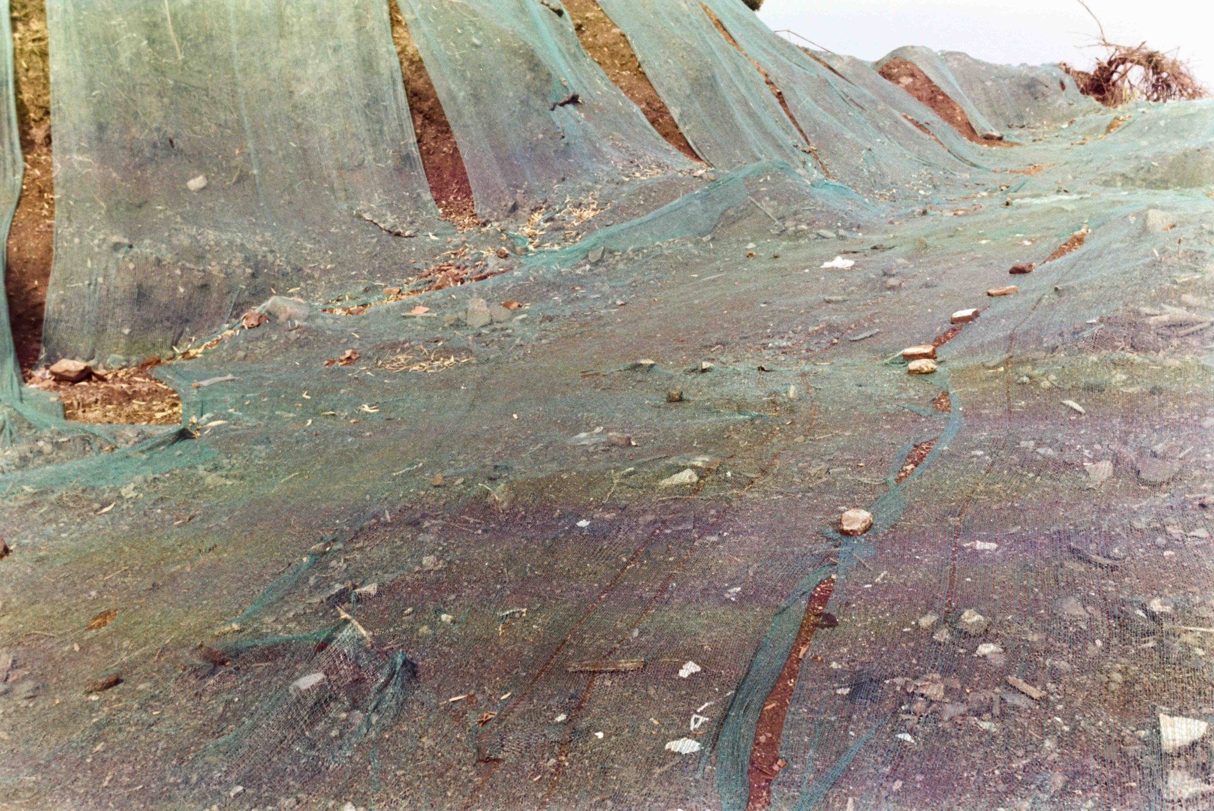 After Order, photograph 27