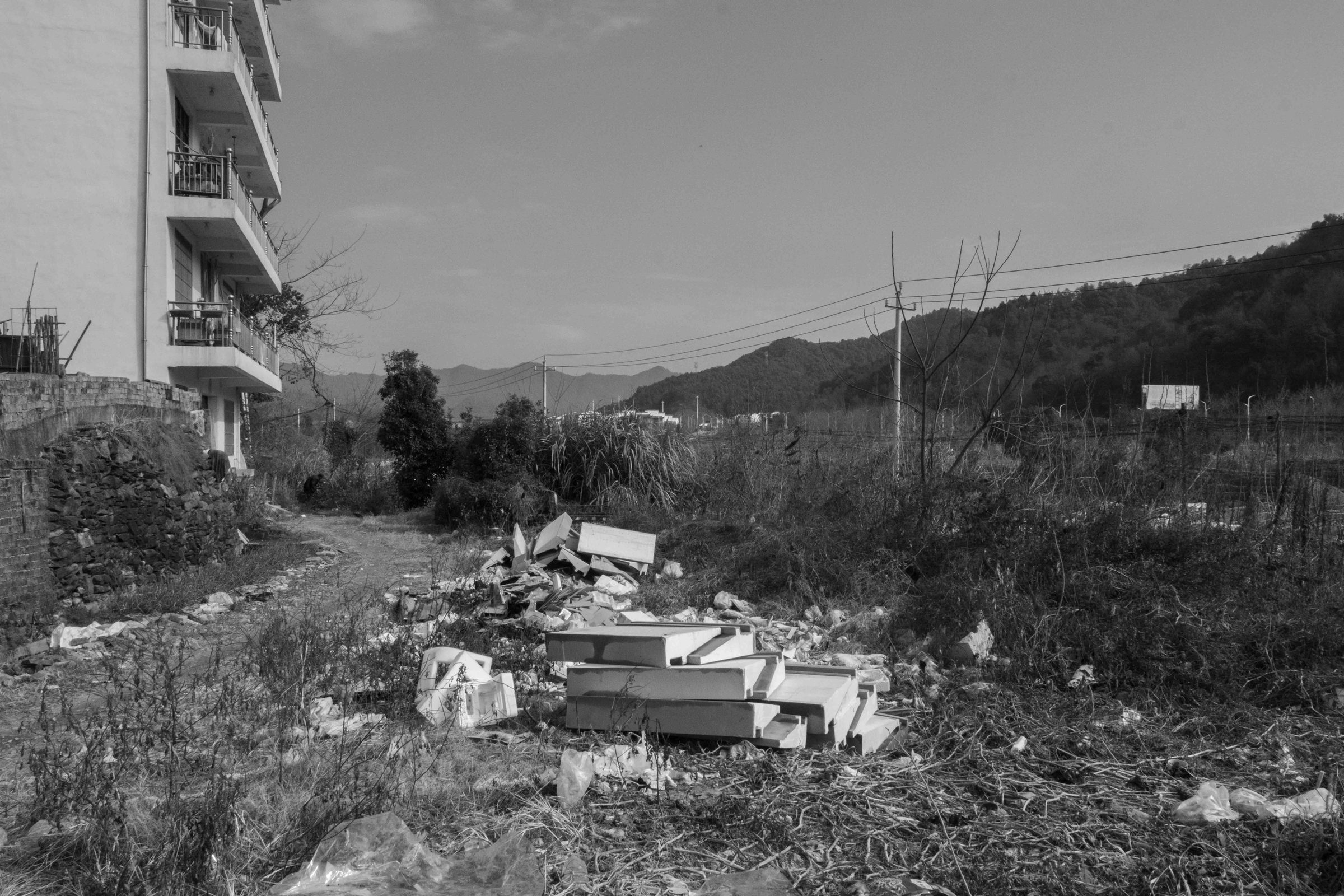 After Order, photograph 43