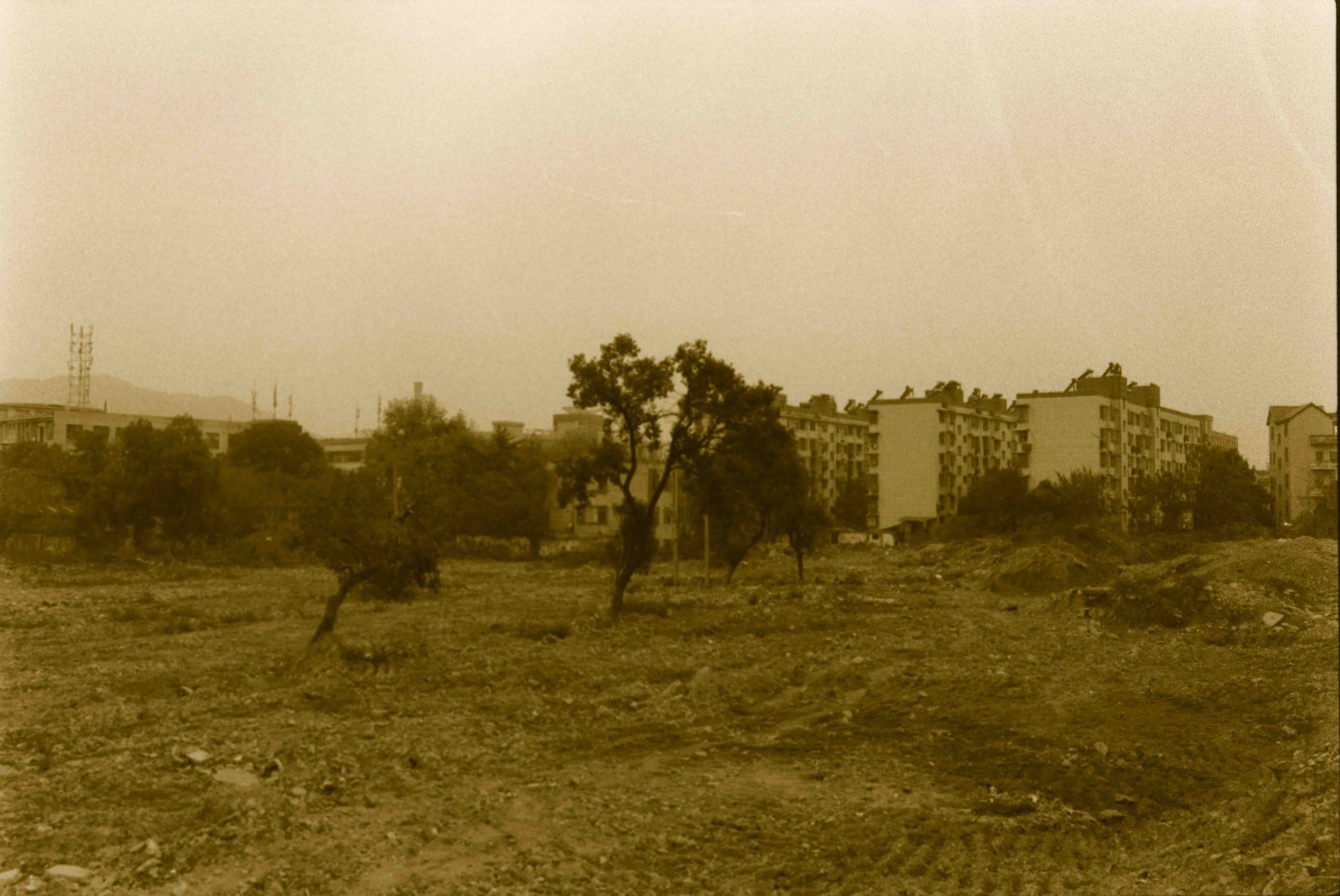 After Order, photograph 51