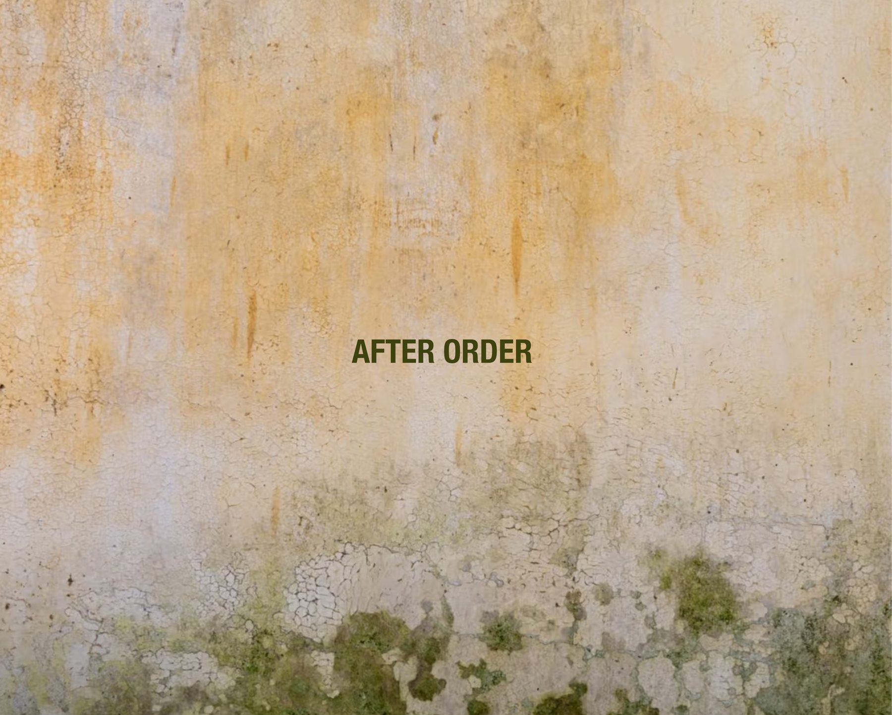 Cover image for After Order