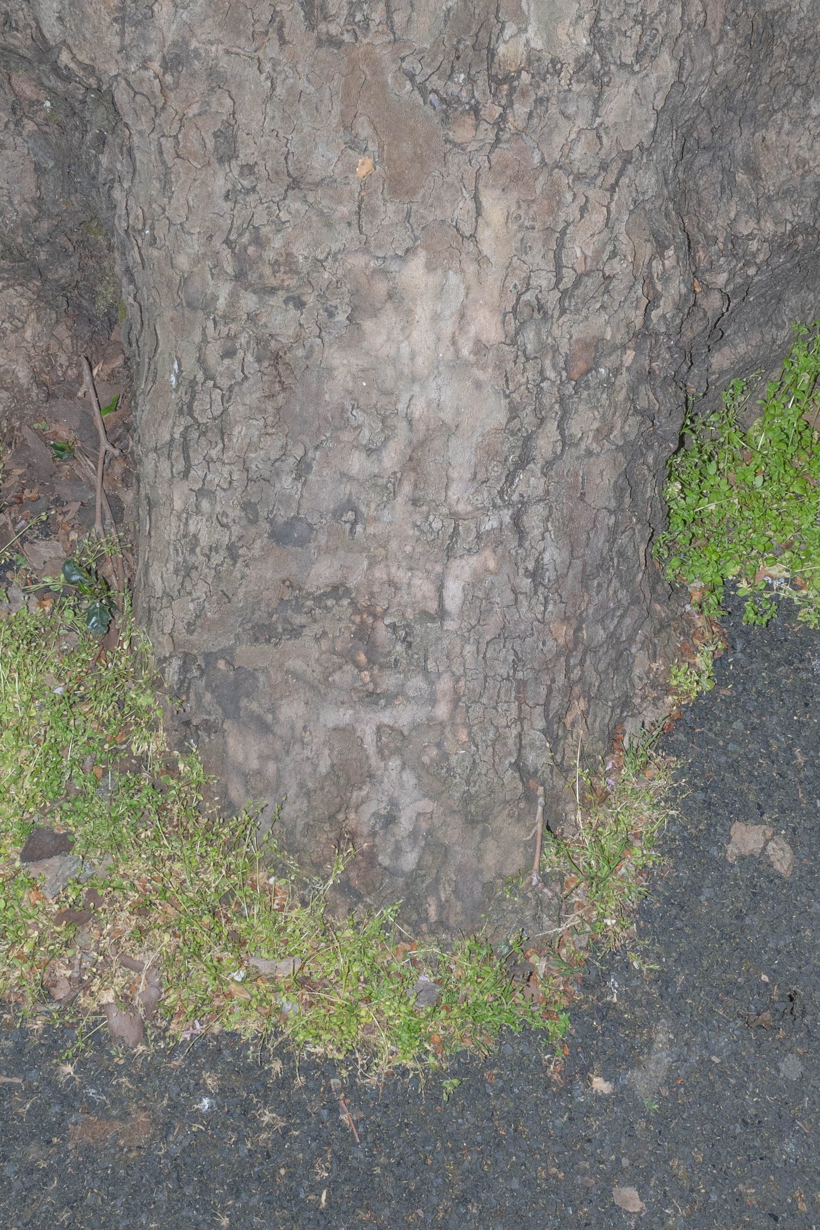 In Each Other’s Image, photograph 27