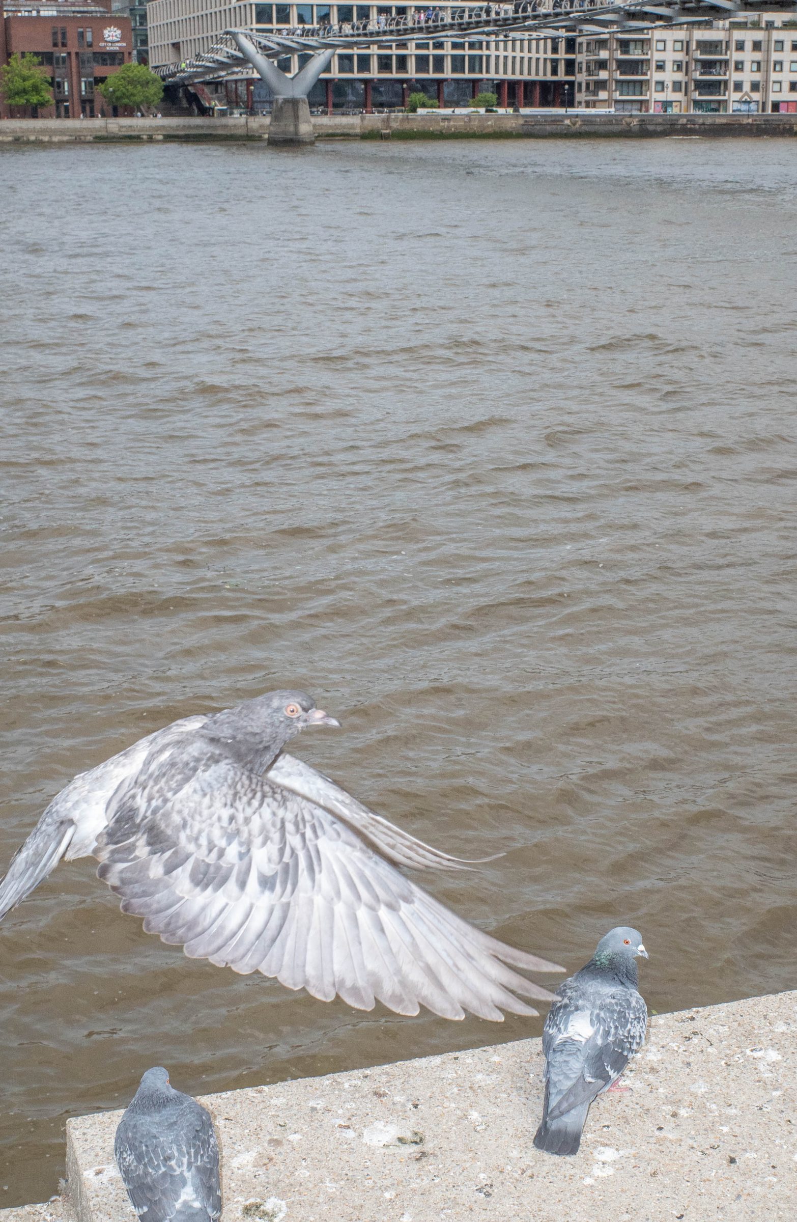 In Each Other’s Image, photograph 41