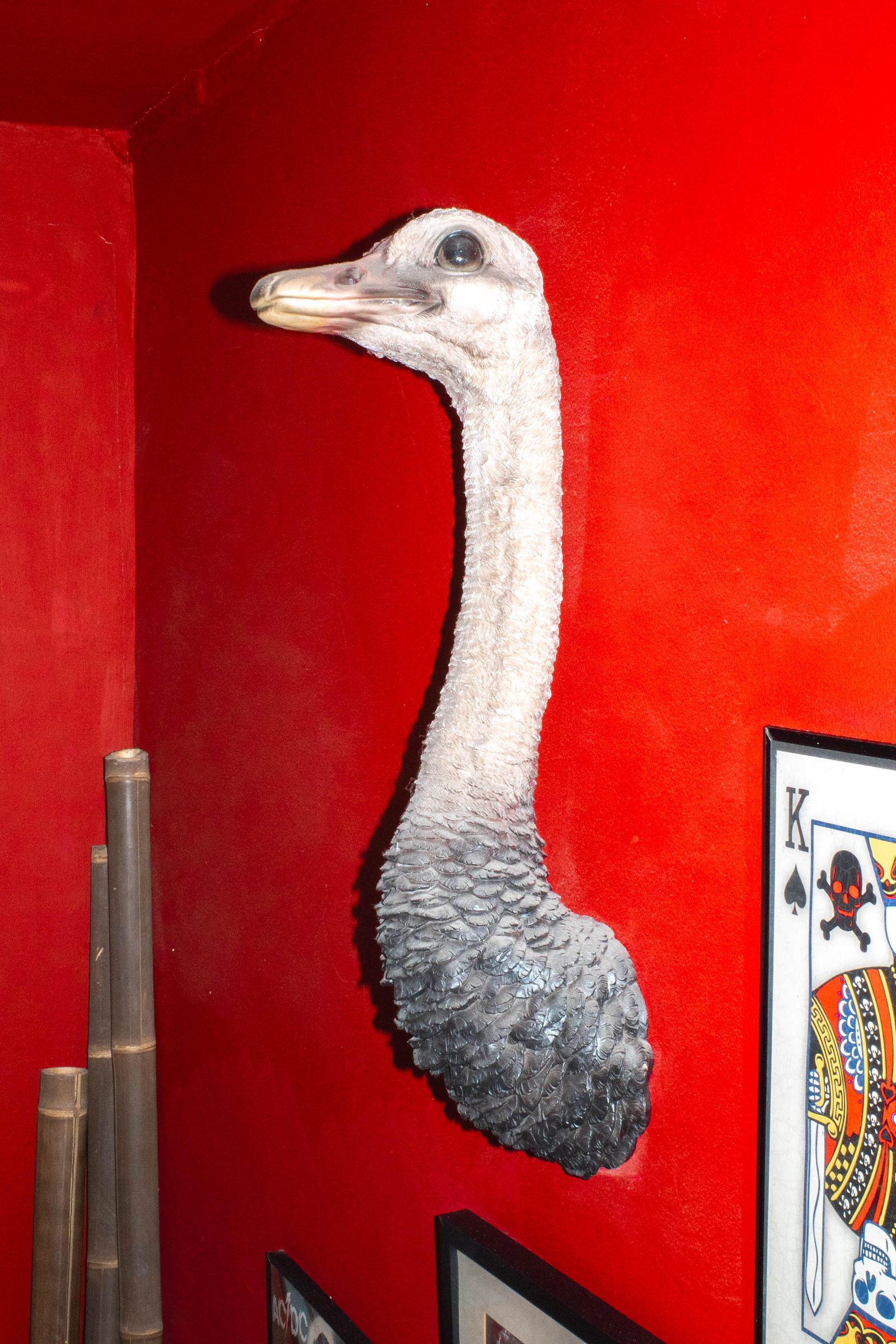 In Each Other’s Image, photograph 47