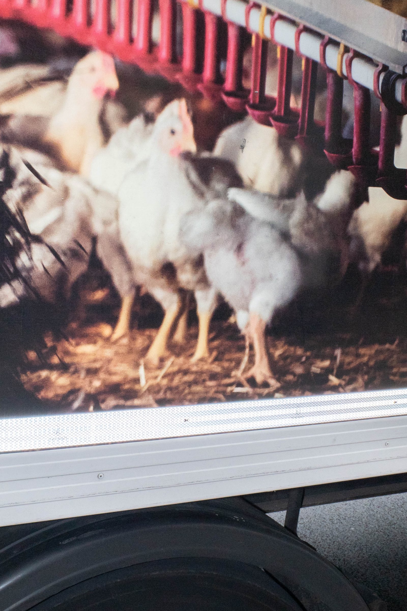 In Each Other’s Image, photograph 49