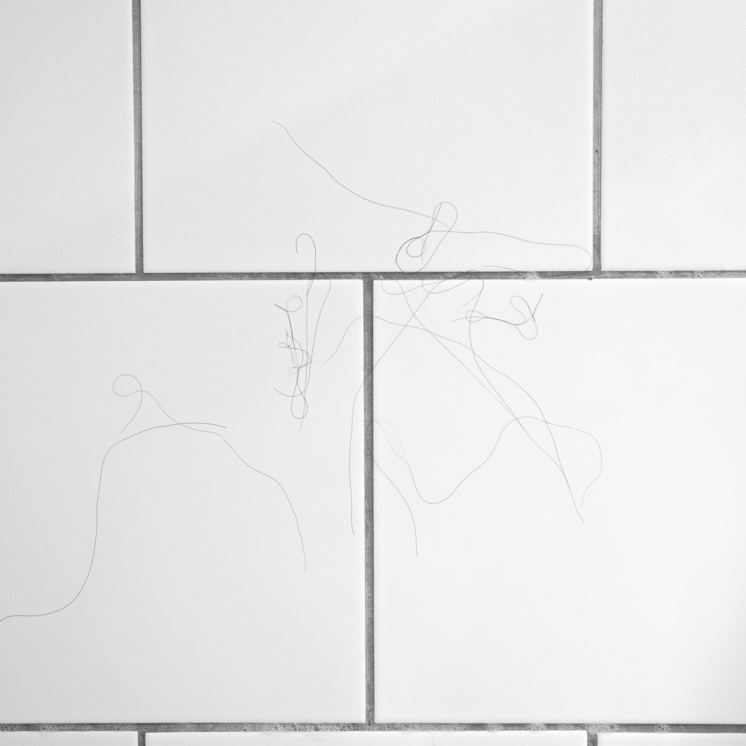 Uncut — Grow in Silence, photograph 5