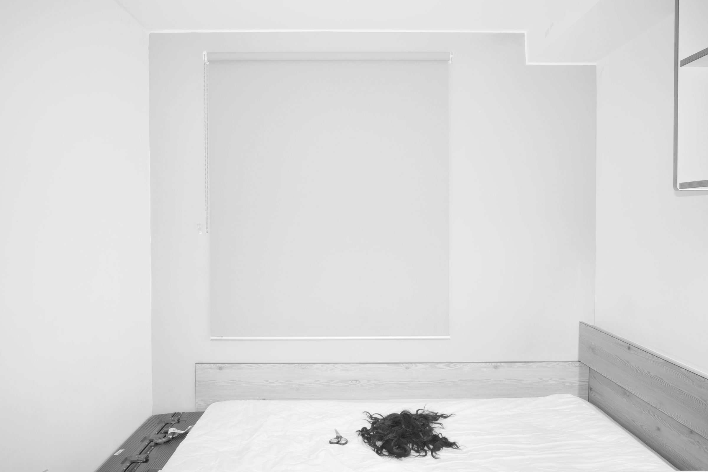 Uncut — Grow in Silence, photograph 11